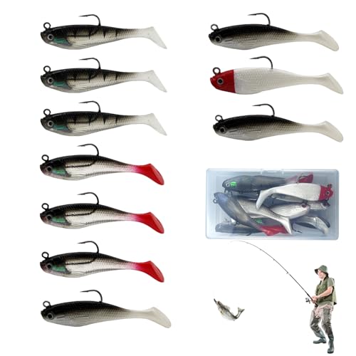 suaywo Gummifische 10 Stück Angelköder Set mit 1 Transparenten Kunststoffbox Angel Köder Jigköpfe Raubfisch Hecht Köder Set für Salzwasserfische und Süßwasserfische Geeignet Angelgeschenke für Männer suaywo Gummifische 10 Stück Angelköder Set mit 1 Transparenten Kunststoffbox Angel Köder Jigköpfe Raubfisch Hecht Köder Set für Salzwasserfische und Süßwasserfische Geeignet Angelgeschenke für Männer von suaywo