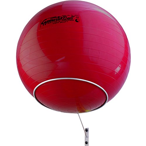 top | vit® Premium Wandhalterung zur Aufbewahrung von einem Gymnastikball I Ø 32cm I Farbe: weiß von top | vit
