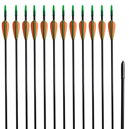vidaXL 12x Fiberglas Pfeil 30" 0,6 cm Compound Bogen Pfeile Fiberglaspfeile vidaXL 12x Fiberglas Pfeil 30" 0,6 cm Compound Bogen Pfeile Fiberglaspfeile von vidaXL