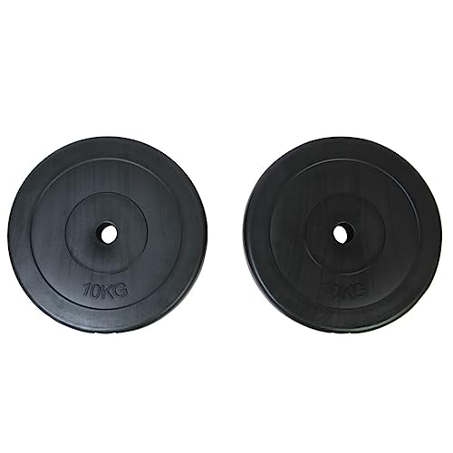 vidaXL 2x Hantelscheiben 10 kg Gewichte Scheibe Hanteln Set Gewichtsscheiben von vidaXL