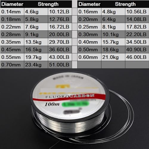 Angelschnur 100 m fluorkohlenstoffbeschichtete Angelschnur, superstarkes Monofilament-Nylon-Angeldrahtmaterial for Karpfenangelzubehör Fischdraht(0.20mm) von yixinzi-2024